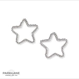Park lane bright earrings
